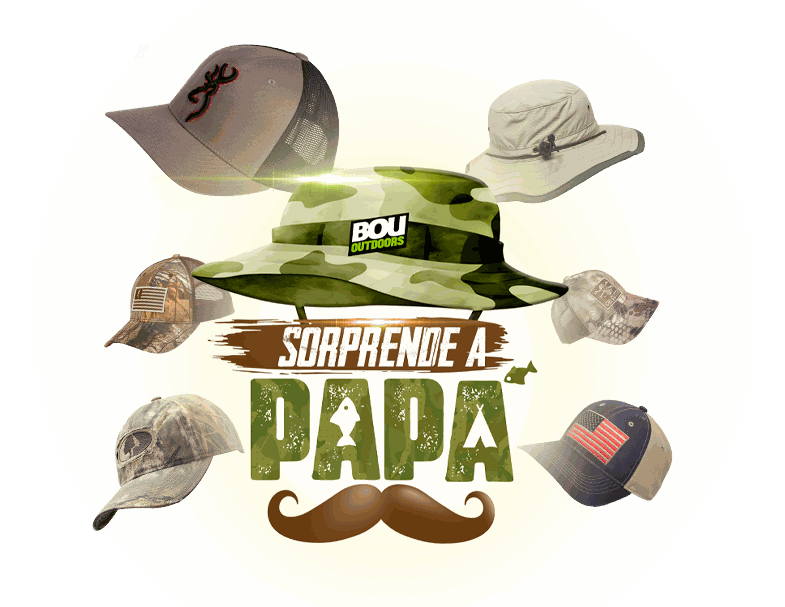 snippets