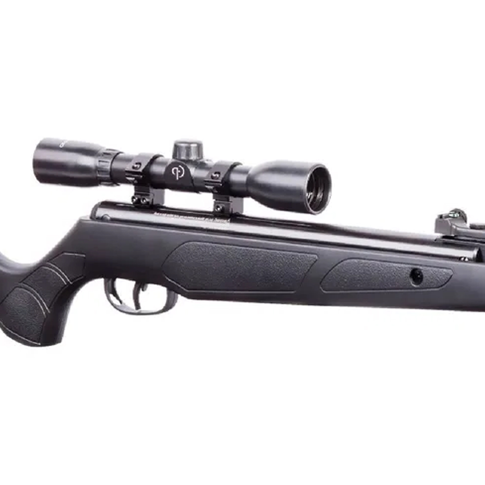 RIFLE REMINGTON EXPRESS HUNTER NP QF C/MIRA REHNP22 .22