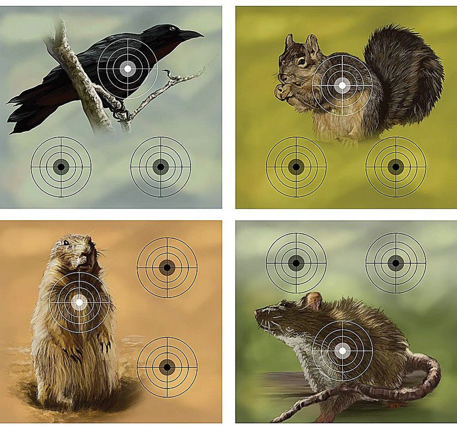 BLANCO CROSMAN 0496PDQ COMPETENCIA ARMA AIRE