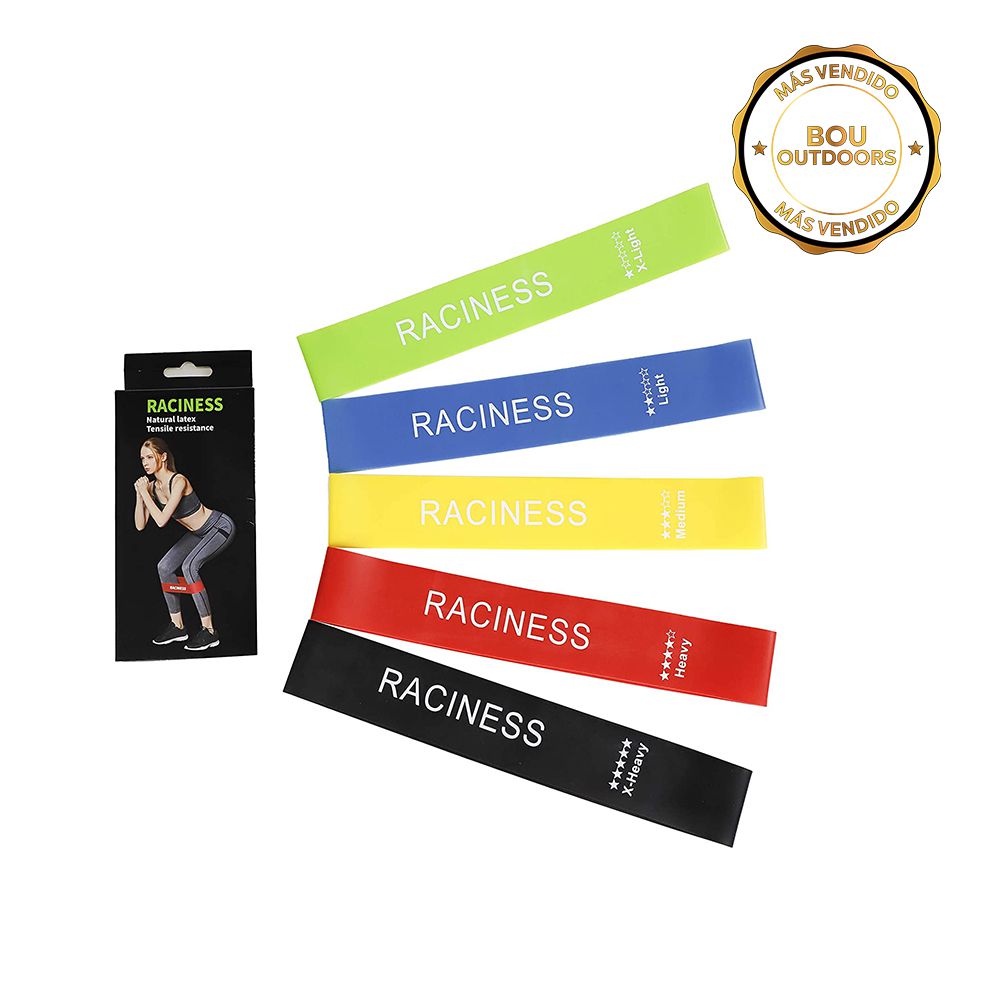 BANDAS DE RESISTENCIA HO-1369