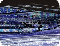 SAILFISH CATCHER 5 RGD BLK/PURP