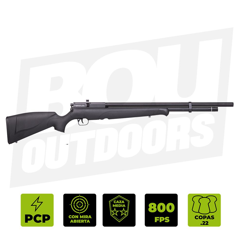 RIFLE BENJAMIN BPF22SG2 PCP FORTITUDE SINTETICO .22